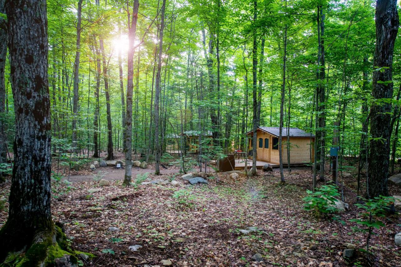 马达沃斯卡山林小屋乡村民宿 Madawaska 外观 照片