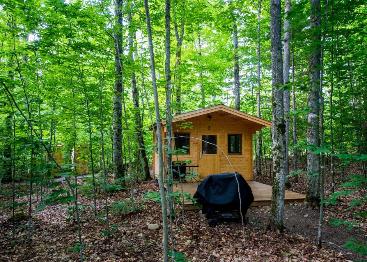 马达沃斯卡山林小屋乡村民宿 Madawaska 外观 照片