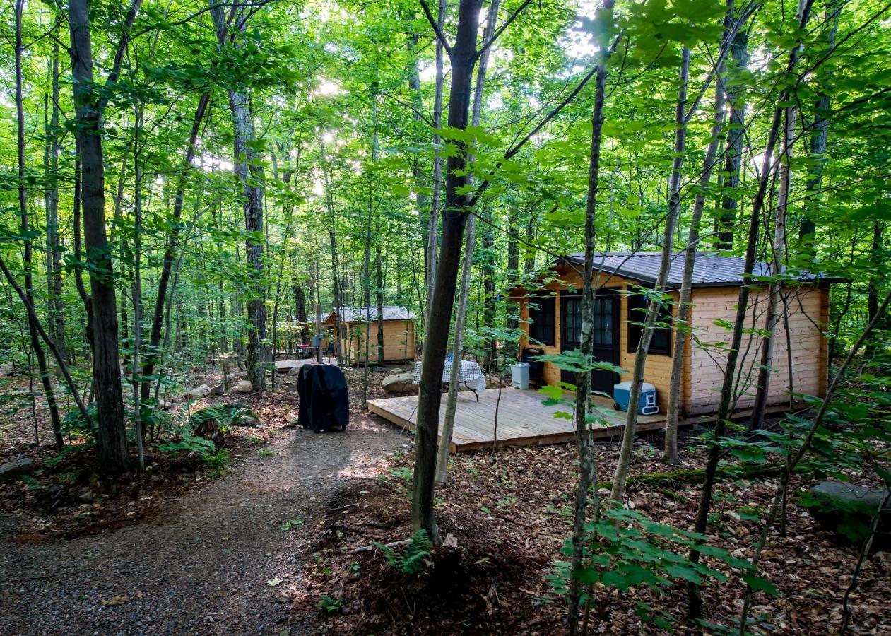 马达沃斯卡山林小屋乡村民宿 Madawaska 外观 照片